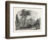 View in Crofton Park, New Zealand, 1851-null-Framed Giclee Print