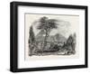 View in Crofton Park, New Zealand, 1851-null-Framed Giclee Print