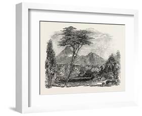 View in Crofton Park, New Zealand, 1851-null-Framed Giclee Print