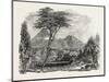 View in Crofton Park, New Zealand, 1851-null-Mounted Giclee Print