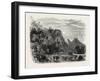 View in Cuba, 1870s-null-Framed Giclee Print