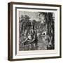 View in Florida, USA, 1870s-null-Framed Giclee Print