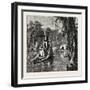 View in Florida, USA, 1870s-null-Framed Giclee Print