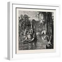 View in Florida, USA, 1870s-null-Framed Giclee Print