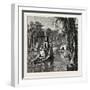 View in Florida, USA, 1870s-null-Framed Giclee Print