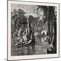 View in Florida, USA, 1870s-null-Mounted Giclee Print