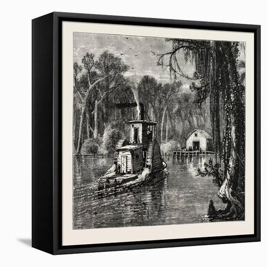 View in Florida, USA, 1870s-null-Framed Stretched Canvas