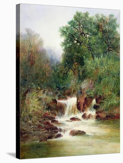 View in Gidley Park, Devon-William Widgery-Stretched Canvas