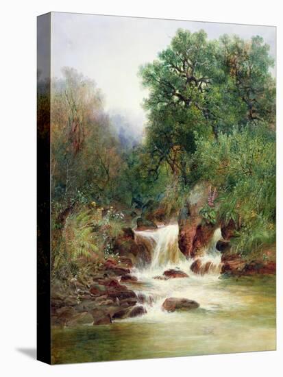 View in Gidley Park, Devon-William Widgery-Stretched Canvas