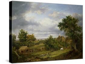 View in Hampshire, 1826-Patrick Nasmyth-Stretched Canvas