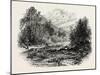 View in Massachusetts, USA, 1870S-null-Mounted Giclee Print