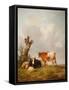 View in Stour Valley with Two Cows-Thomas Sidney Cooper-Framed Stretched Canvas