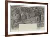 View in Studley Park, Melbourne-null-Framed Giclee Print