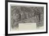 View in Studley Park, Melbourne-null-Framed Giclee Print