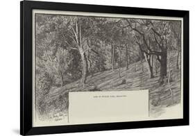 View in Studley Park, Melbourne-null-Framed Giclee Print