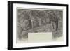 View in Studley Park, Melbourne-null-Framed Giclee Print