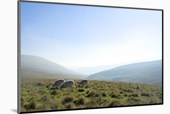 View in the Brecon Beacons National Park, Wales, United Kingdom-Graham Lawrence-Mounted Photographic Print