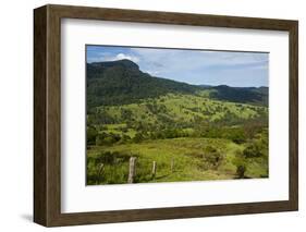 View in the Springbrook National Park, New South Wales, Australia, Pacific-Michael Runkel-Framed Photographic Print