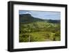 View in the Springbrook National Park, New South Wales, Australia, Pacific-Michael Runkel-Framed Photographic Print