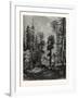 View in the Western Himalayas-null-Framed Giclee Print