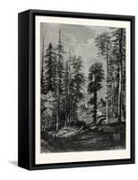 View in the Western Himalayas-null-Framed Stretched Canvas
