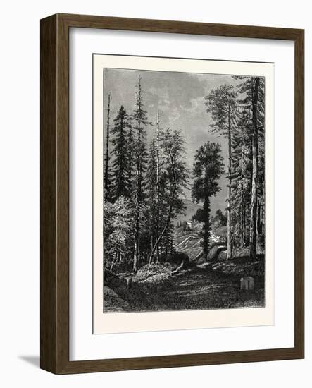 View in the Western Himalayas-null-Framed Giclee Print