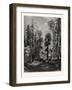 View in the Western Himalayas-null-Framed Giclee Print