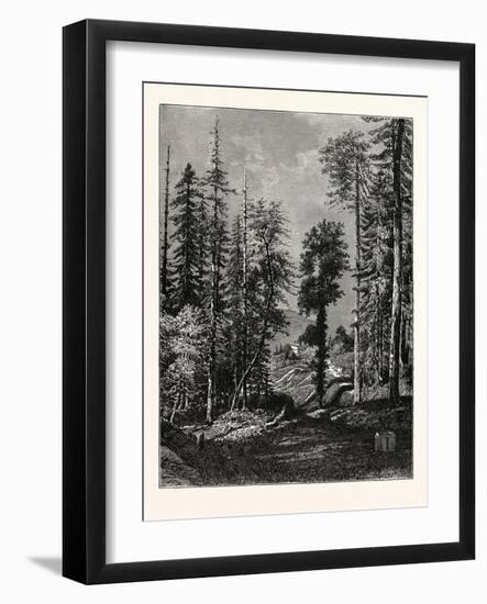 View in the Western Himalayas-null-Framed Giclee Print