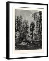 View in the Western Himalayas-null-Framed Premium Giclee Print