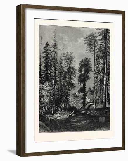 View in the Western Himalayas-null-Framed Giclee Print