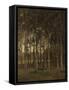 View in the Woods, C. 1870-1904-Theophile de Bock-Framed Stretched Canvas