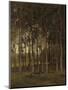 View in the Woods, C. 1870-1904-Theophile de Bock-Mounted Art Print