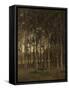 View in the Woods-Theophile de Bock-Framed Stretched Canvas