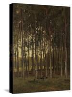 View in the Woods-Theophile de Bock-Stretched Canvas