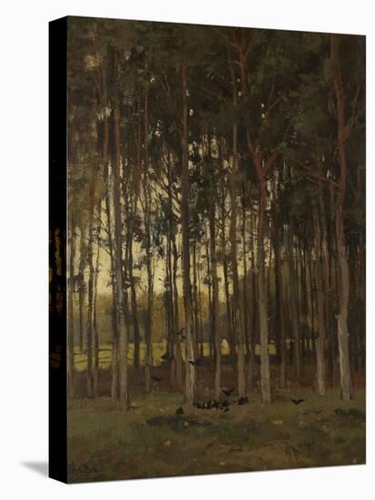 View in the Woods-Theophile de Bock-Stretched Canvas