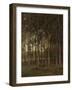 View in the Woods-Theophile de Bock-Framed Art Print