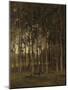 View in the Woods-Theophile de Bock-Mounted Art Print