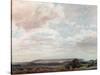 View in Wiltshire-John Constable-Stretched Canvas