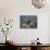 View in Winter with Typical Hills in Foreground and Alon Settlement Beyond, Judean Desert, Israel-Eitan Simanor-Photographic Print displayed on a wall