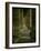 View Inside the Colonnade-Giovanni Lorenzo Bernini-Framed Giclee Print