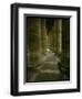 View Inside the Colonnade-Giovanni Lorenzo Bernini-Framed Giclee Print