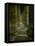 View Inside the Colonnade-Giovanni Lorenzo Bernini-Framed Stretched Canvas