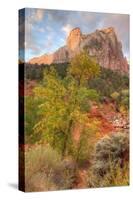 View Inside Zion Canyon-Vincent James-Stretched Canvas