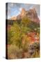 View Inside Zion Canyon-Vincent James-Stretched Canvas