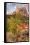 View Inside Zion Canyon-Vincent James-Framed Stretched Canvas