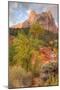 View Inside Zion Canyon-Vincent James-Mounted Photographic Print