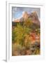 View Inside Zion Canyon-Vincent James-Framed Photographic Print