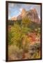 View Inside Zion Canyon-Vincent James-Framed Photographic Print