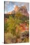 View Inside Zion Canyon-Vincent James-Stretched Canvas