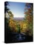 View into Valley from Amicalola Falls-James Randklev-Stretched Canvas
